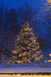 Bild vergrößern: Weihnachtsbaum Kreisel